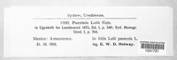 Puccinia lolii image